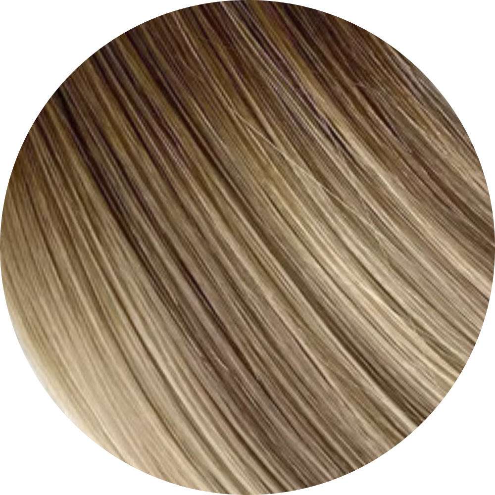 Champagne Mist — K-Tip (Flat-Tip) — 12 in | 100g