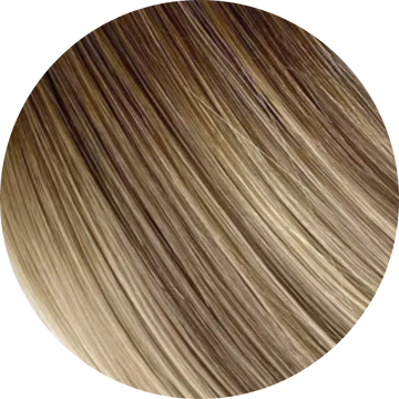 Champagne Mist — K-Tip (Flat-Tip) — 12 in | 100g